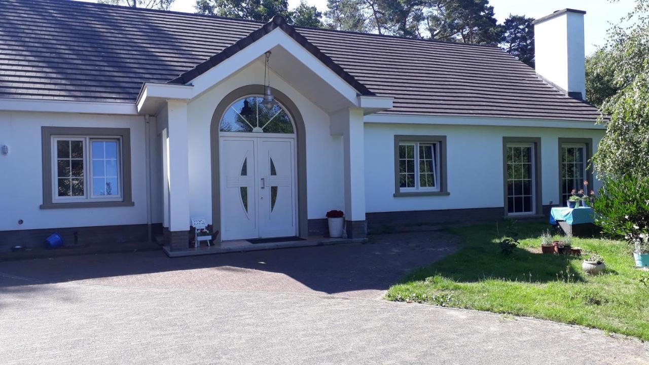 B&B De Tulp Retie Exterior photo